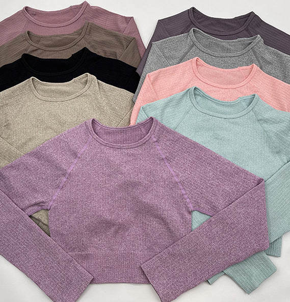 GymSet 3 Stück Performance Pro Leggings + Top + Langarm