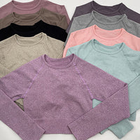 GymSet 3 Stück Performance Pro Leggings + Top + Langarm