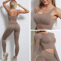 GymSet 3 Stück Performance Pro Leggings + Top + Langarm